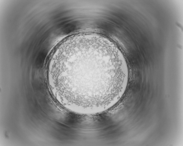 X0000095910828200802011148