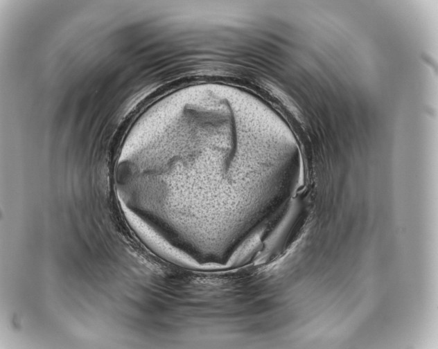 X0000095910829200802011148