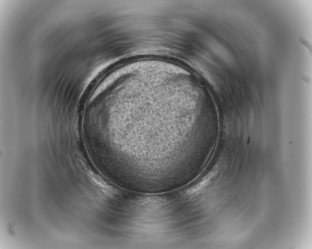 X0000095910830200802011148