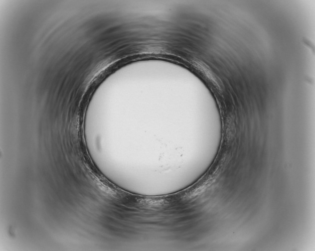 X0000095910831200802011149