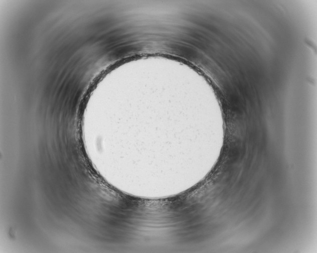 X0000095910832200802011149