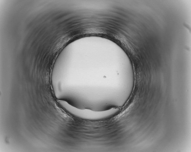 X0000095910833200802011149