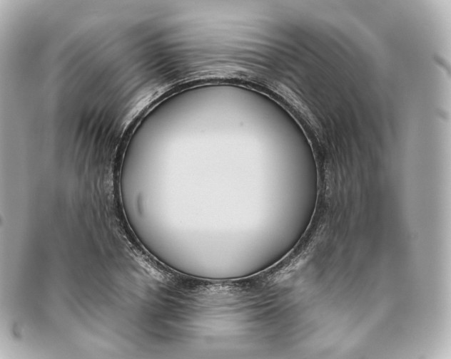 X0000095910834200802011149