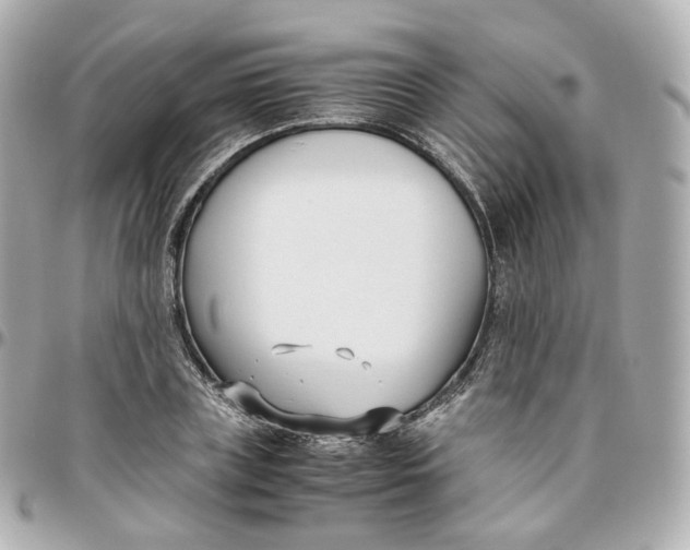 X0000095910835200802011149