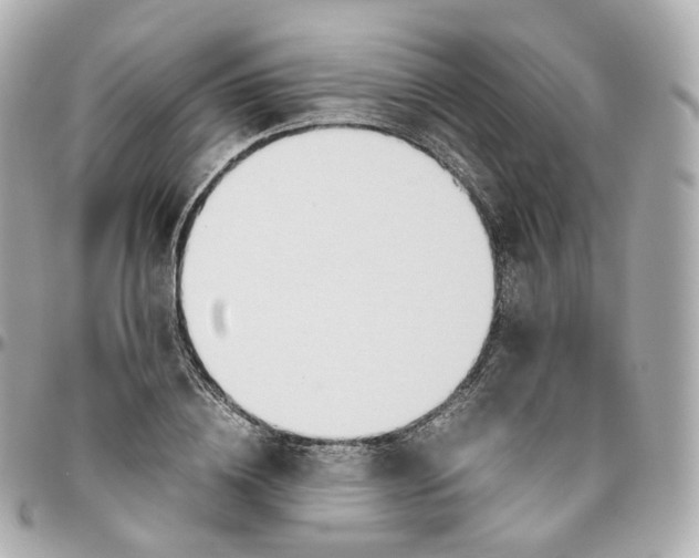 X0000095910836200802011149