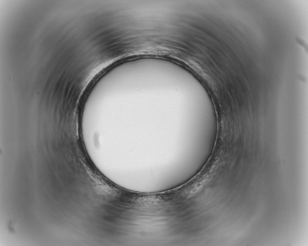 X0000095910838200802011149