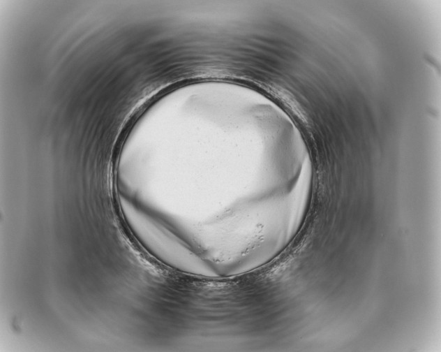 X0000095910839200802011149