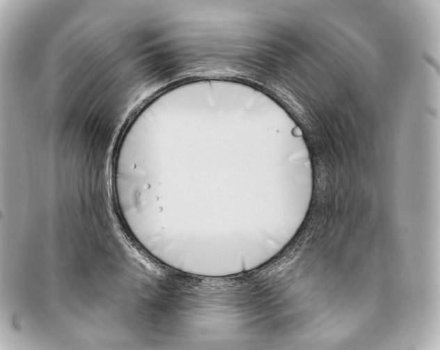 X0000095910840200802011149