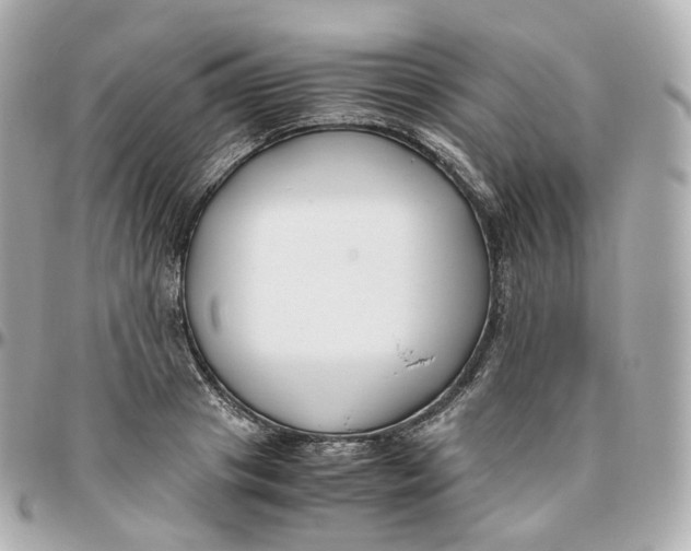 X0000095910841200802011149