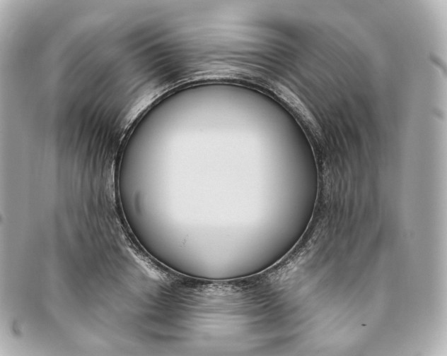 X0000095910842200802011149