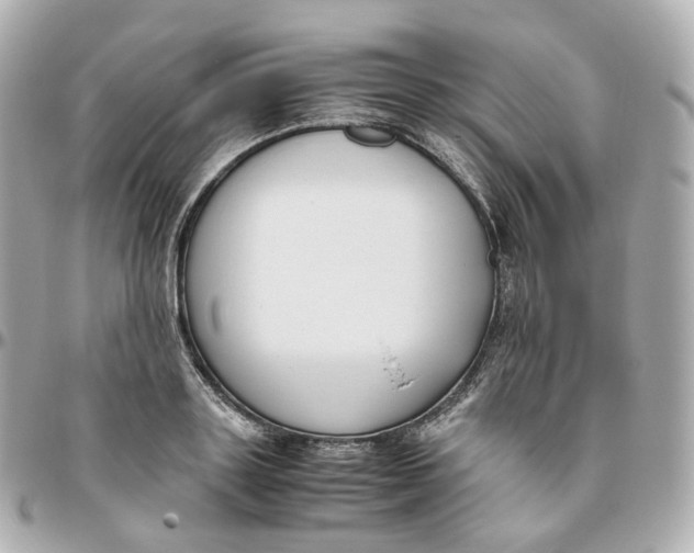 X0000095910843200802011149