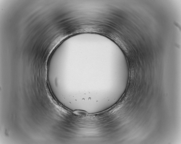 X0000095910844200802011149