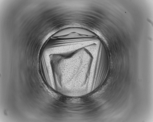 X0000095910845200802011149