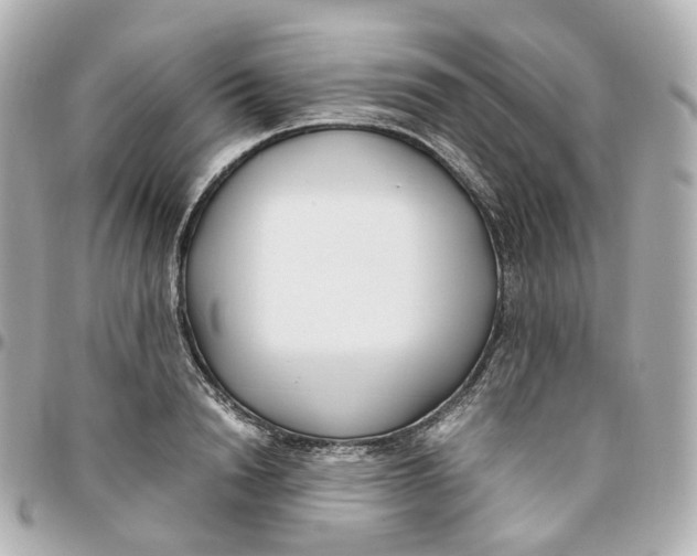 X0000095910846200802011149