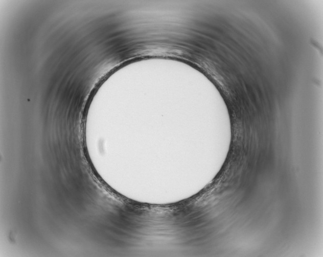 X0000095910848200802011149