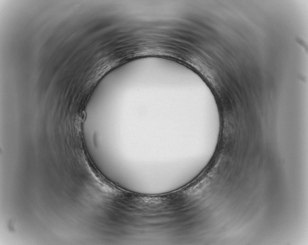 X0000095910849200802011149