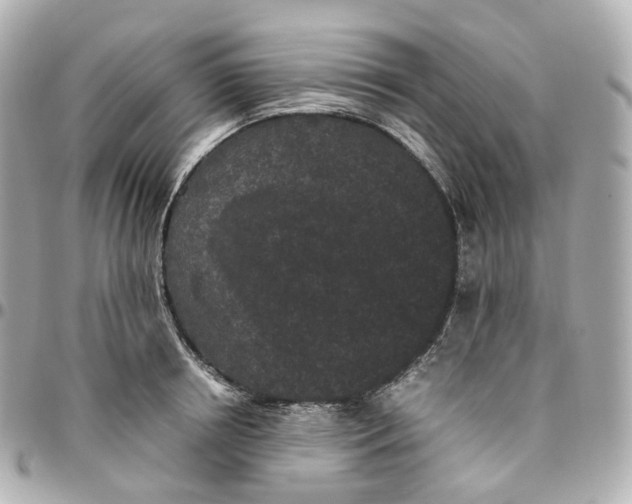 X0000095910850200802011149