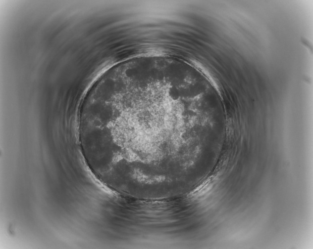 X0000095910851200802011149