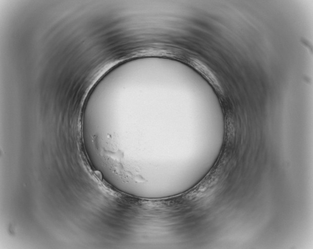 X0000095910852200802011149