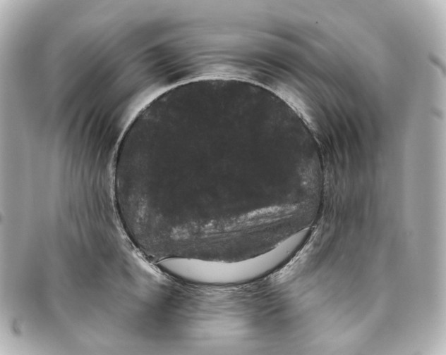 X0000095910854200802011149