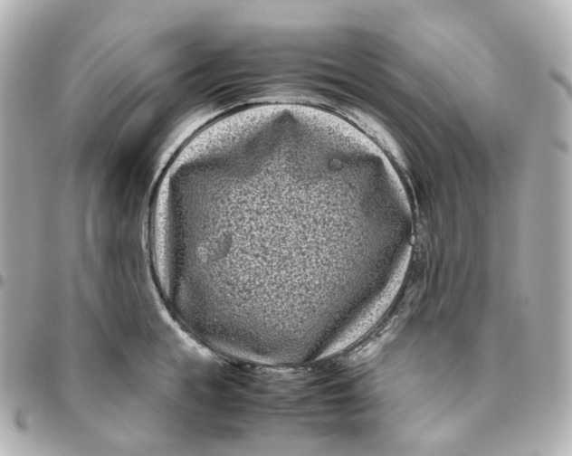 X0000095910855200802011149