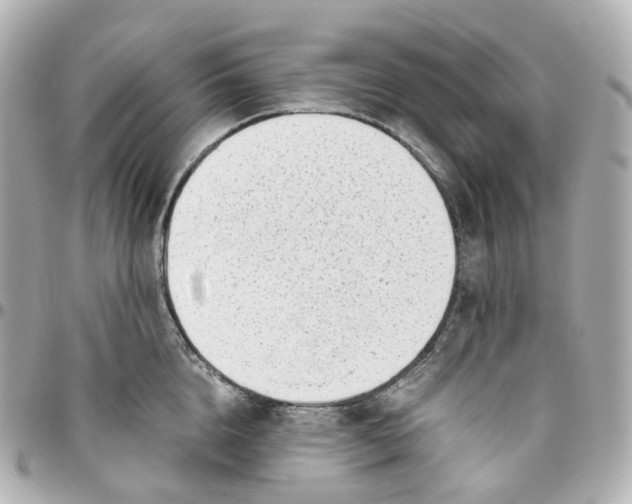 X0000095910856200802011149