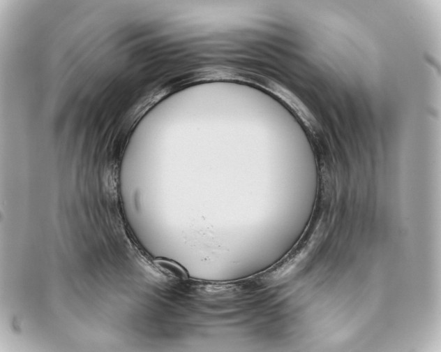 X0000095910857200802011149