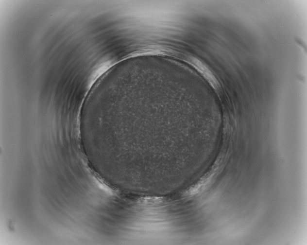 X0000095910858200802011149