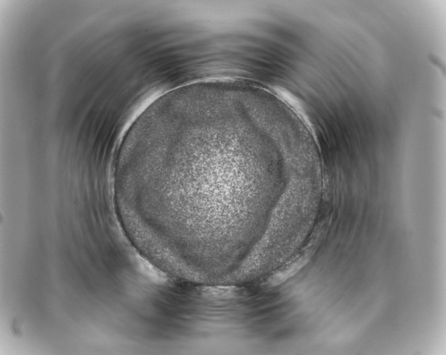 X0000095910859200802011149