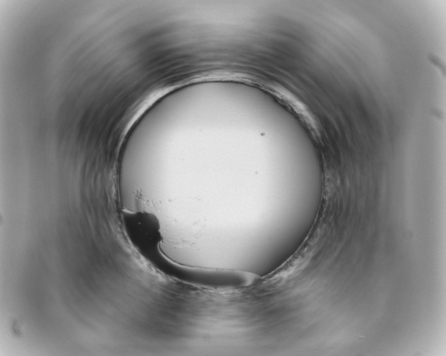 X0000095910860200802011149