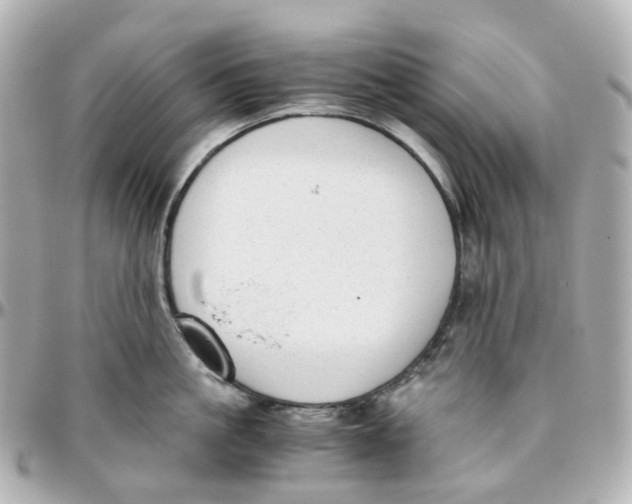 X0000095910861200802011149