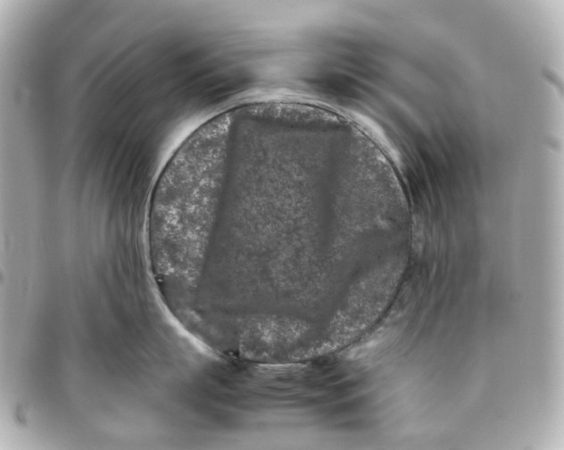 X0000095910863200802011149