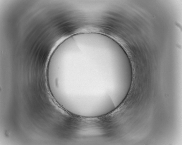 X0000095910864200802011149