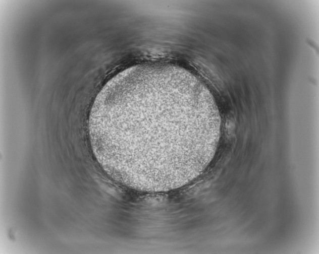 X0000095910865200802011148