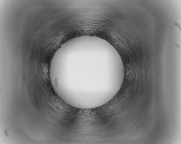 X0000095910866200802011148