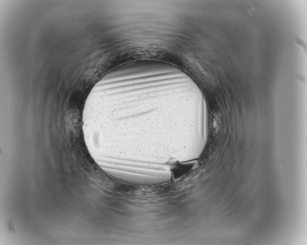 X0000095910867200802011148