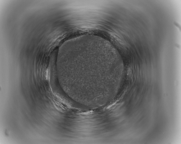 X0000095910868200802011148