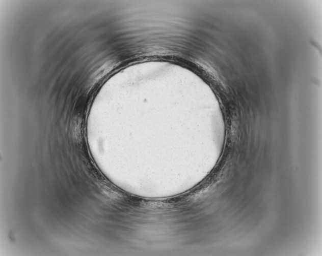 X0000095910873200802011148