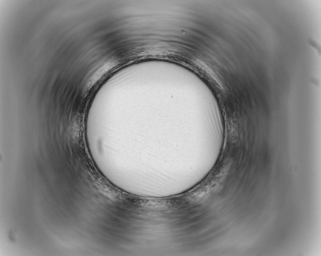 X0000095910874200802011148