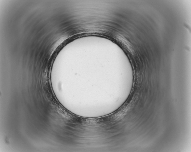 X0000095910875200802011148