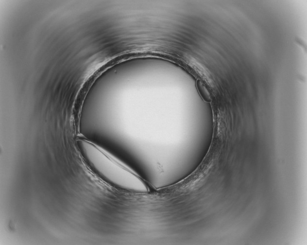 X0000095910876200802011148