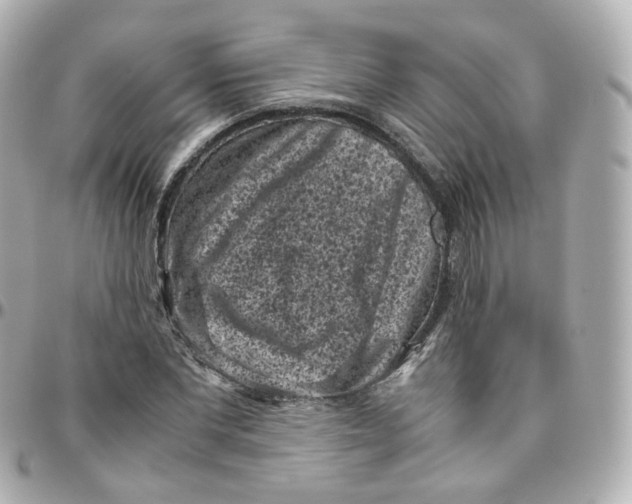 X0000095910877200802011148