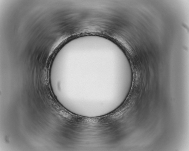 X0000095910878200802011148