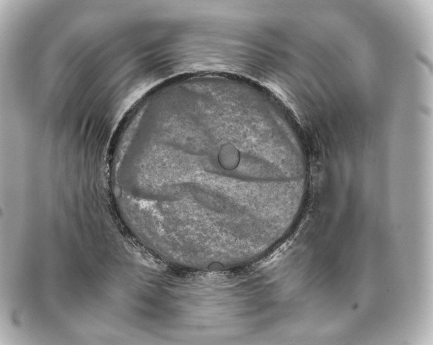 X0000095910879200802011148