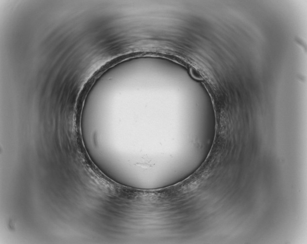 X0000095910880200802011148