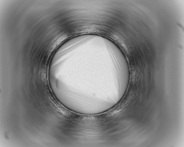 X0000095910882200802011148