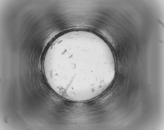 X0000095910883200802011148