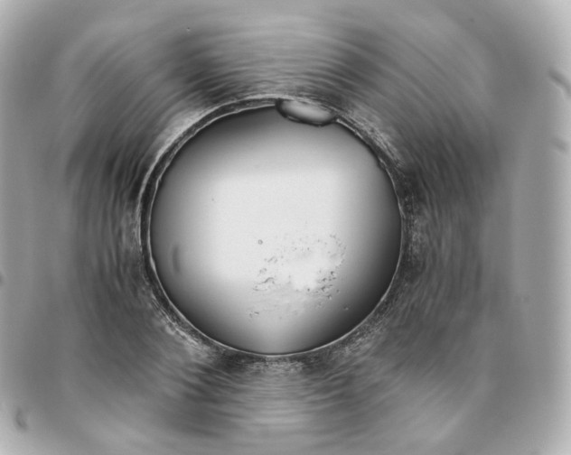 X0000095910884200802011148