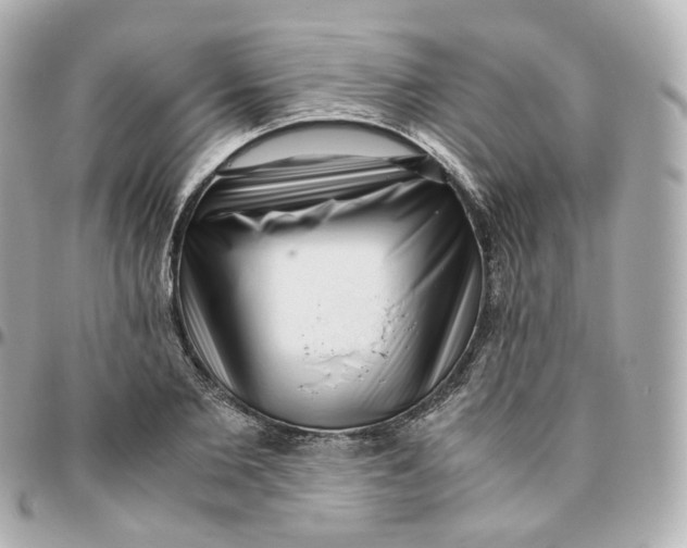 X0000095910885200802011148