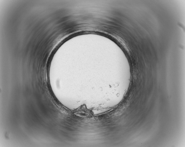 X0000095910887200802011148